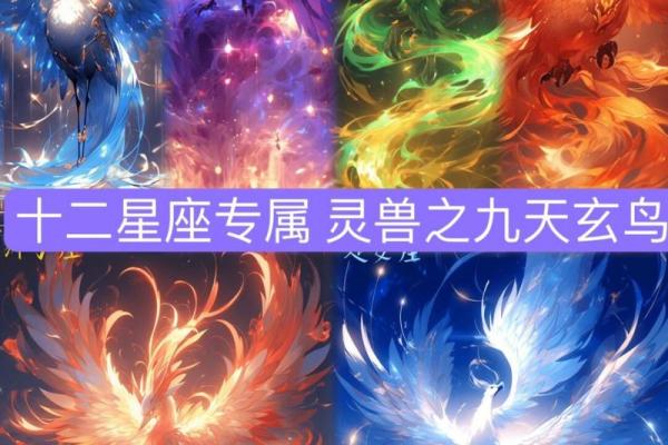 十二星座专属神龙座骑排行