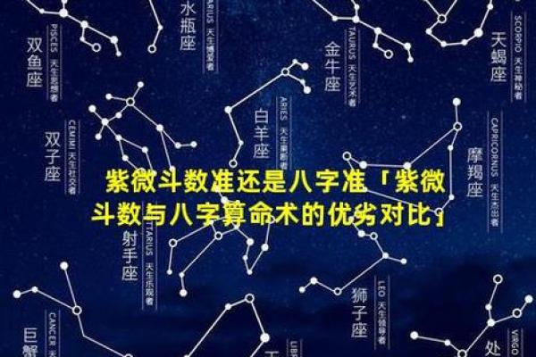 紫薇斗数与八字优缺点