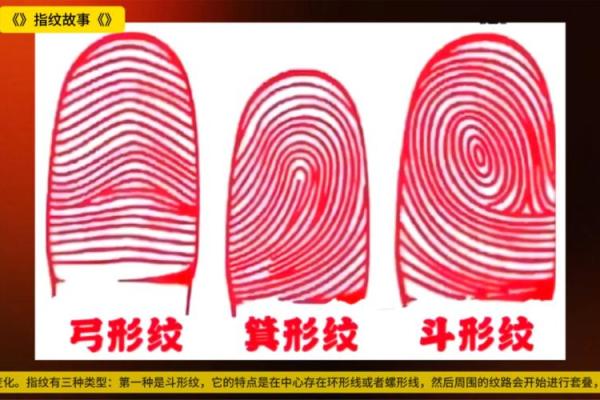 《手相学习百科》：指纹