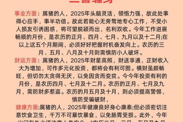 「生肖猪」的相关资讯和百科全解析