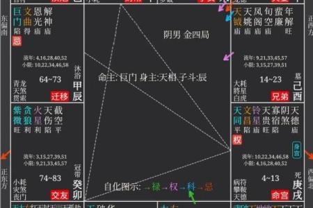 紫薇斗数与八字优缺点