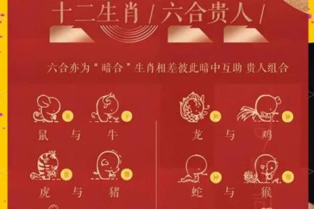属蛇人配对姻缘