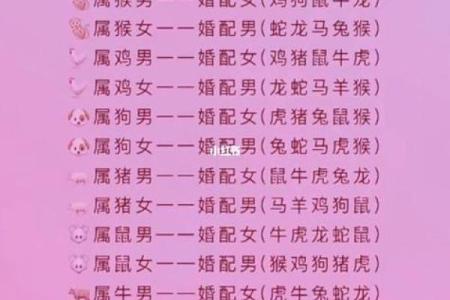 12生肖婚配属相配对查询，生肖配对查询表