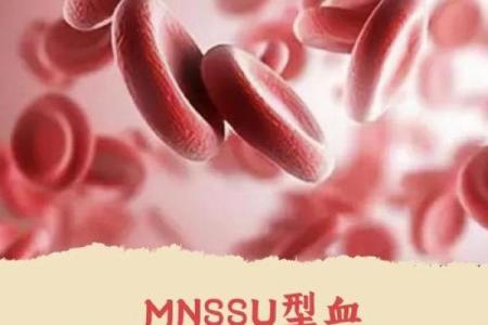 最能装相的血型是谁