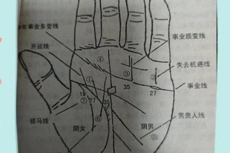 《手相学习百科》：手相重要辅线