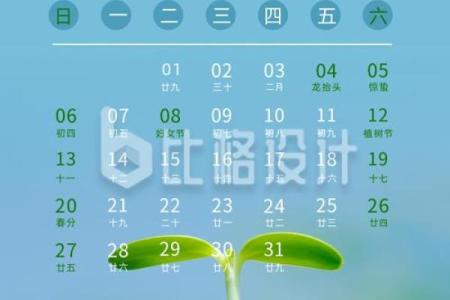 3月1日是什么节日