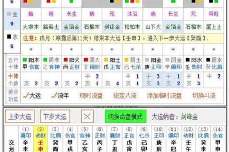 一分钟看懂八字排盘,八字排盘出来怎么解读