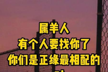 属羊正缘出现在哪年 属羊人婚姻配对表