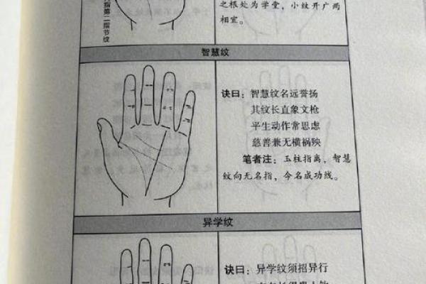 《手相学习百科》：认识双手