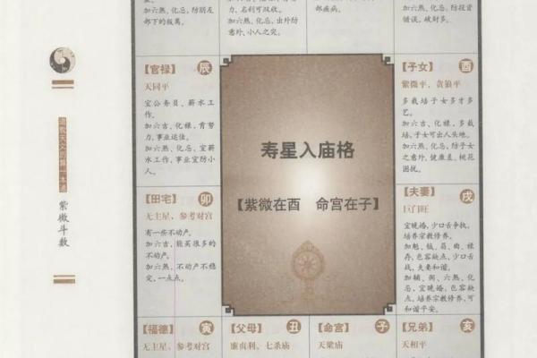 紫薇大战紫微斗数