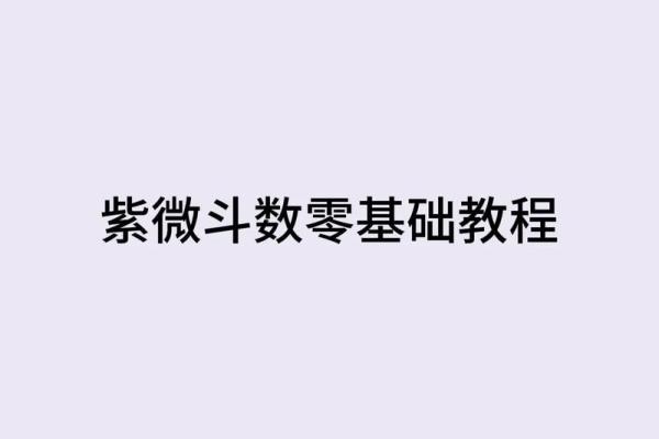 紫薇斗数教学初级
