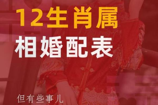 婚姻配对属龙和属蛇姻缘怎么样