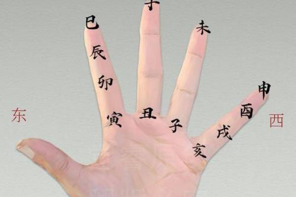 量指算命多神奇？手指长度看命运