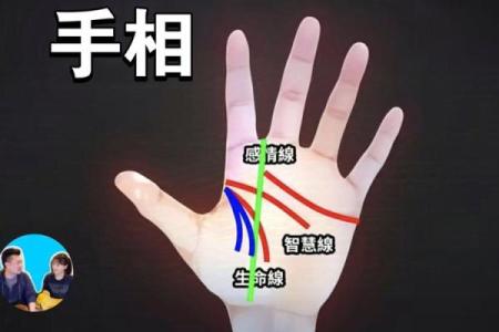 《手相学习百科》：认识双手