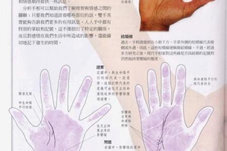 《手相学习百科》：手纹看旅游和迁徙