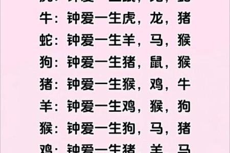 生肖配对是什么-合婚时生肖配对有多大影响