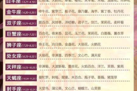 处女座和处女座配对指数