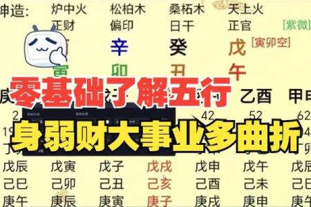 八字天上火是什么意思