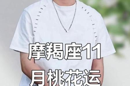 十一月摩羯星座爱情运势