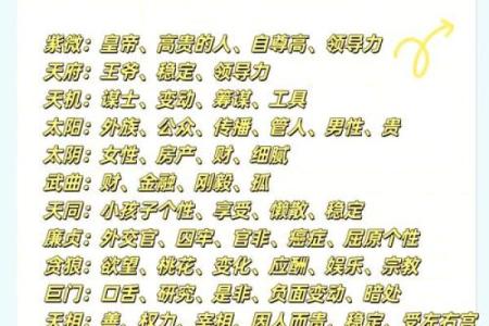 紫薇斗数命宫天梁