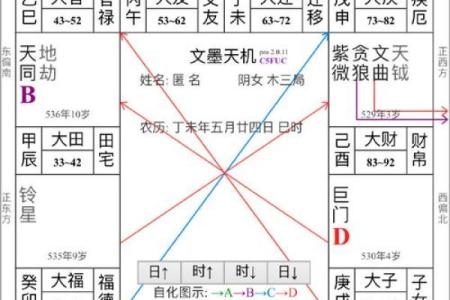 紫薇斗数斗君表