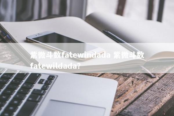 紫微斗数fatewindada 紫微斗数fatewildada？