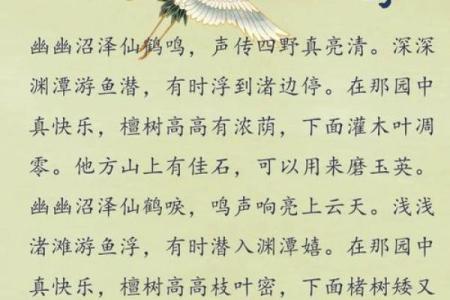 白鹤鸣八字