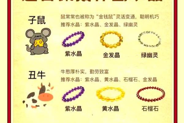 围绕中心生肖养，打造最全生肖百科！