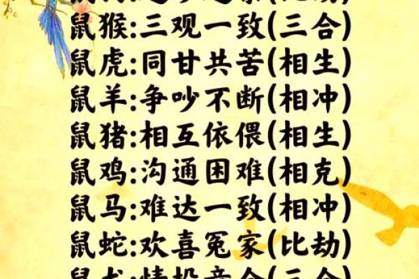 十五生肖：探索属鼠者的个性特征和相性配对