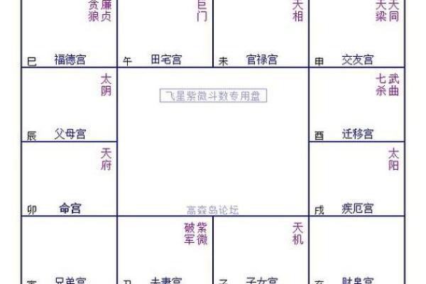 紫薇斗数紫薇在身夫宫