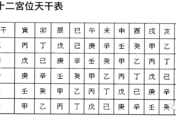 紫薇斗数手工排盘视频