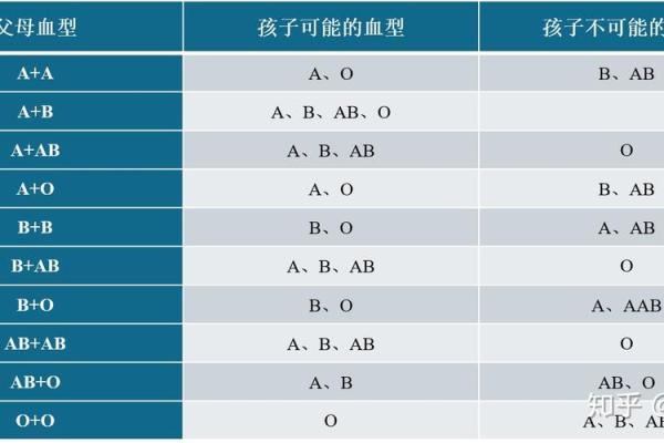 血型完美妻子的解析