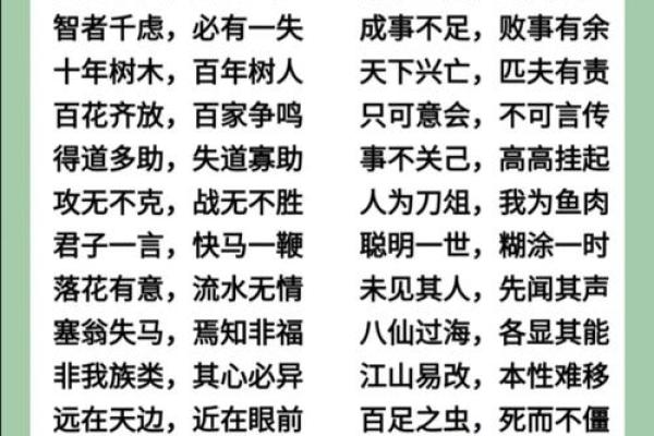用八字成语
