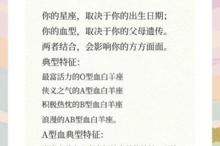 血型完美妻子的解析