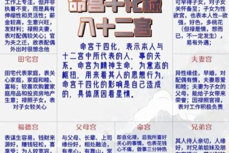 紫薇斗数换工作