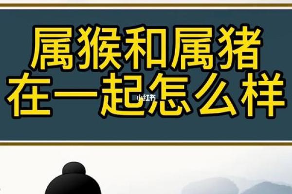 生肖属猴和属猪合吗 相合配对指数查询
