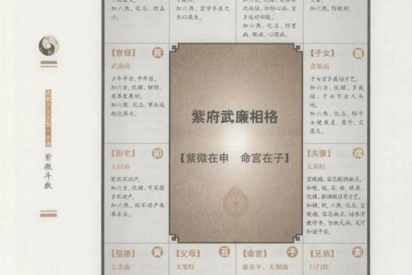 为什么紫薇斗数那么准