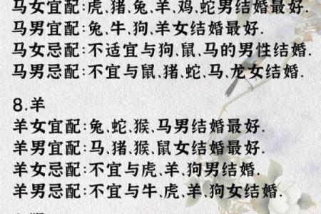 生肖属猴和属猪合吗 相合配对指数查询