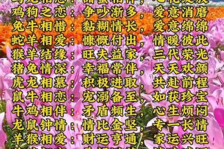 测感情姻缘 测姻缘配对？