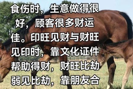 风水财运_人这辈子的财运有多少其实是安排好的