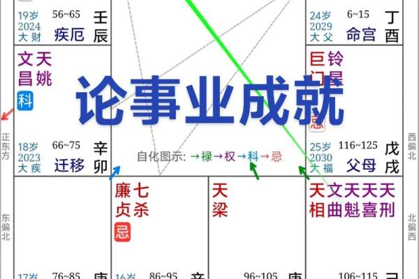 紫微斗数疾厄宫太阴化禄