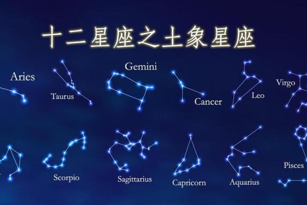2月星座运势摩羯
