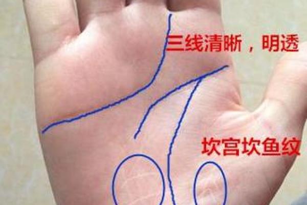 开车摔跤了还能去算命吗
