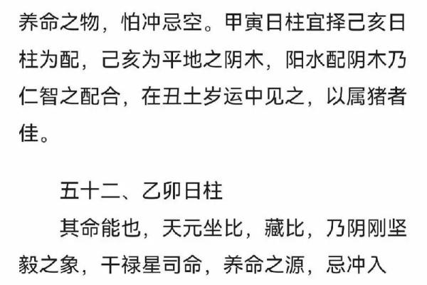 八字-论日柱壬戌