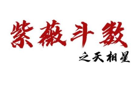 紫薇斗数紫薇天相在辰