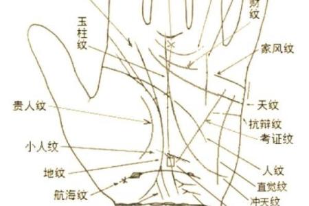 《手相学习百科》：掌脊纹