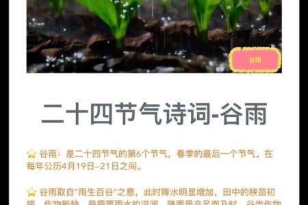 谷雨有什么民俗 谷雨的四言绝句