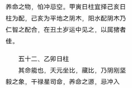 八字-论日柱壬戌