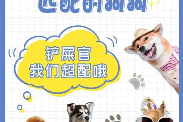狗狗是否也有对应的星座呢