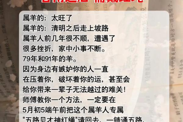 1979属羊最佳配对
